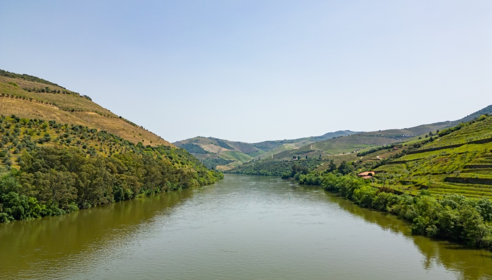 Domaine viticole à vendre dans Région Délimitée du Douro, Portugal_264275