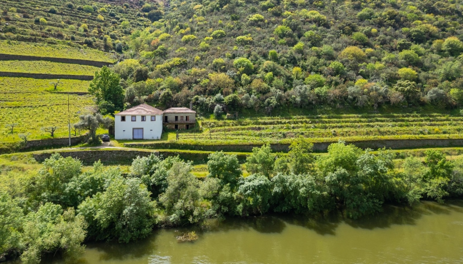 Domaine viticole à vendre dans Région Délimitée du Douro, Portugal_264278