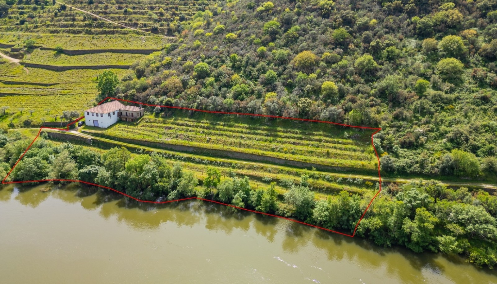 Domaine viticole à vendre dans Région Délimitée du Douro, Portugal_264281