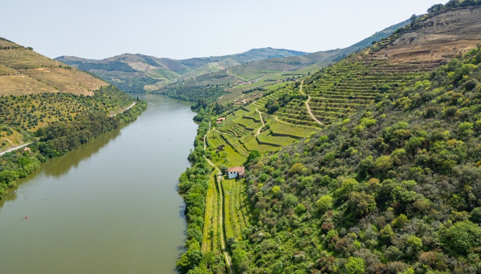 Domaine viticole à vendre dans Région Délimitée du Douro, Portugal_264283