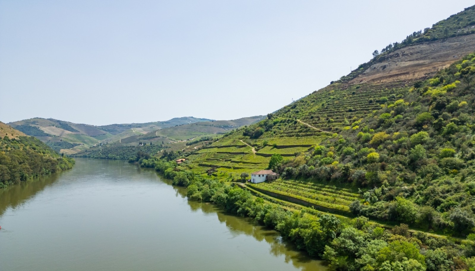 Domaine viticole à vendre dans Région Délimitée du Douro, Portugal_264285
