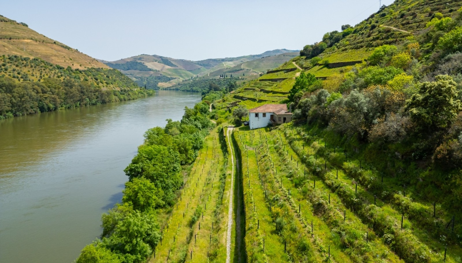 Domaine viticole à vendre dans Région Délimitée du Douro, Portugal_264288
