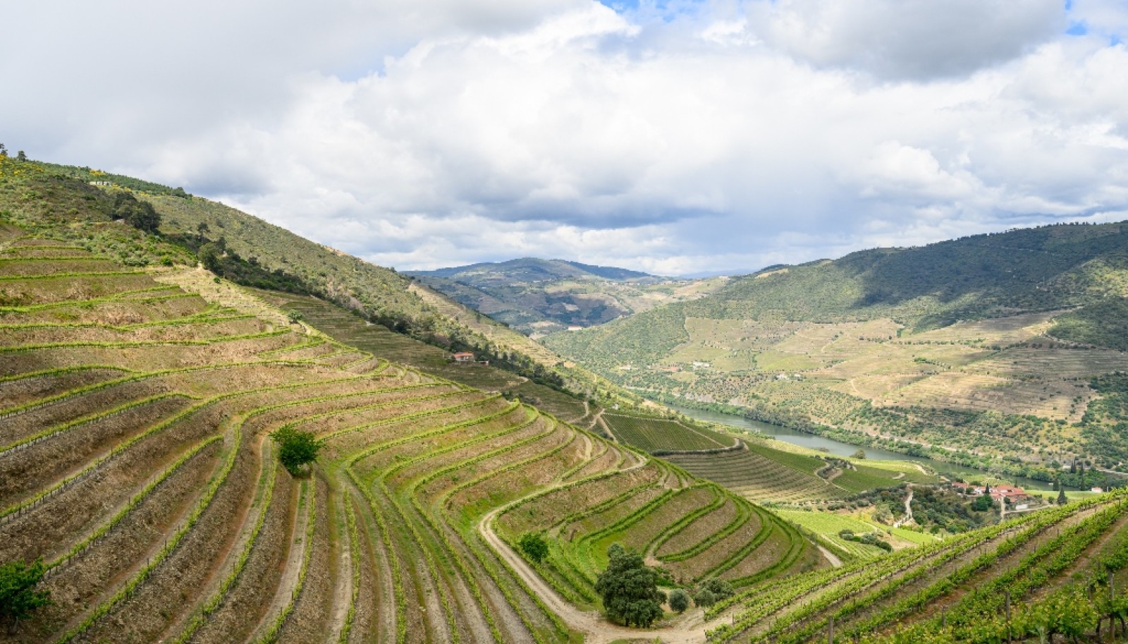 Domaine viticole à vendre dans Région Délimitée du Douro, Portugal_264289