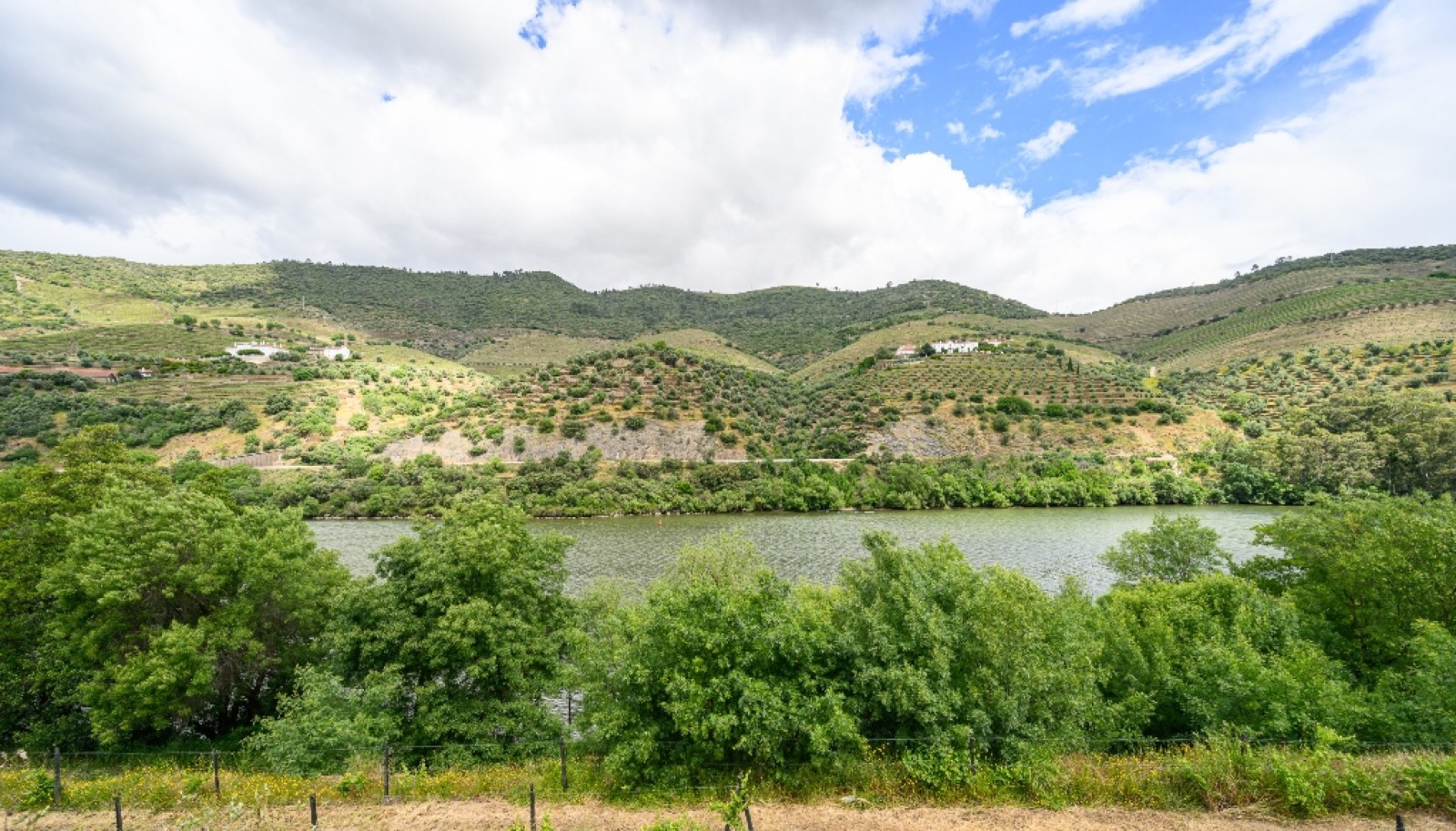 Vineyard for sale in Douro Wine Demarcated Region, Douro Valley, Portugal_264291