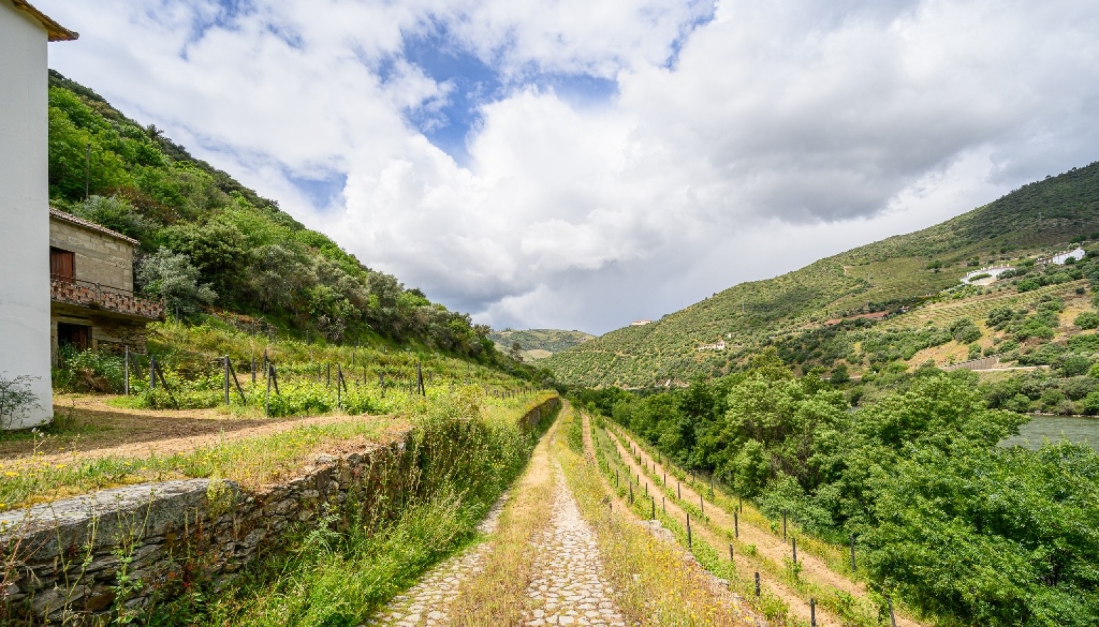 Quinta vinícola para venda no Alto Douro Vinhateiro, Douro Valley_264298
