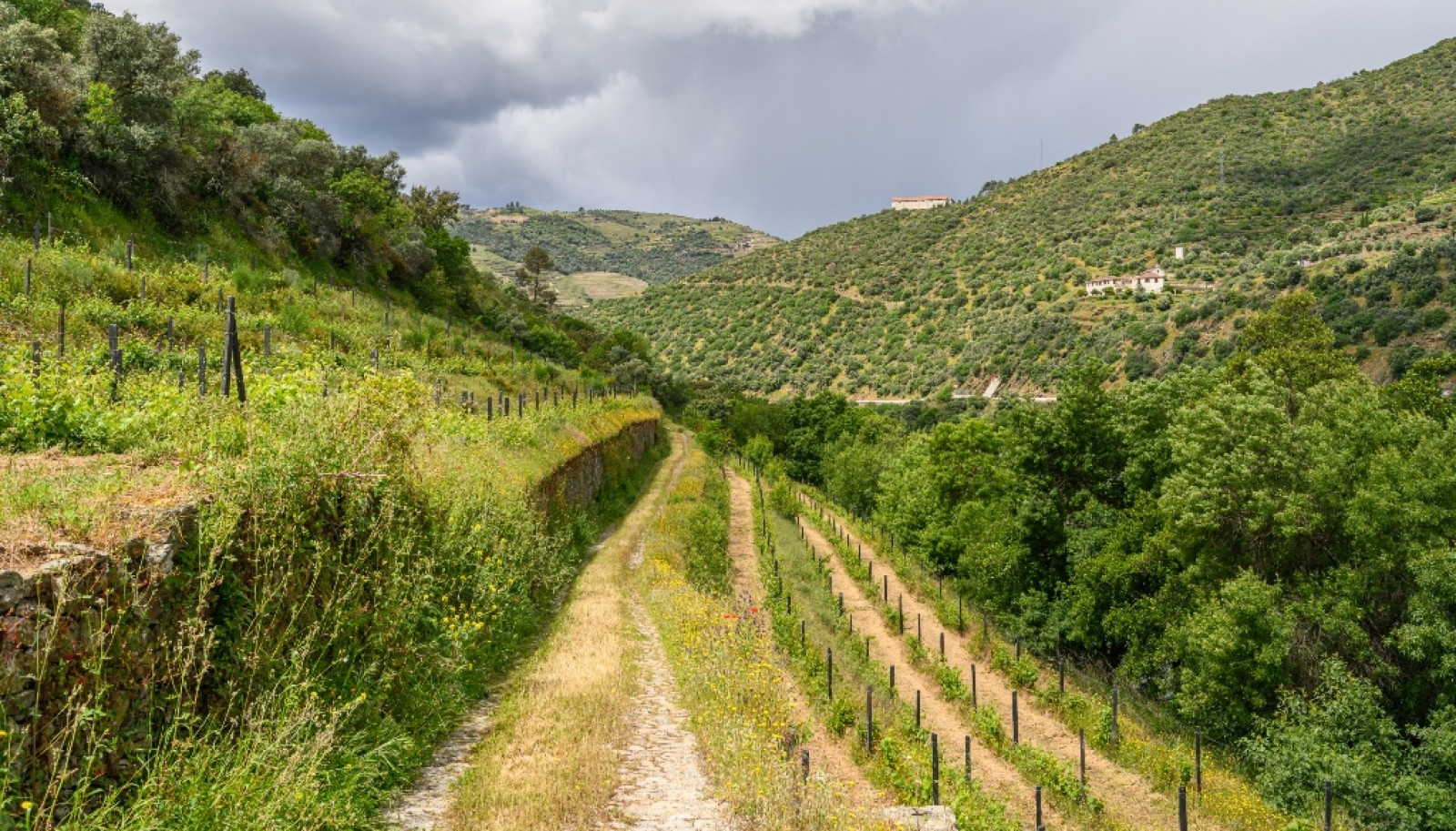 Domaine viticole à vendre dans Région Délimitée du Douro, Portugal_264300