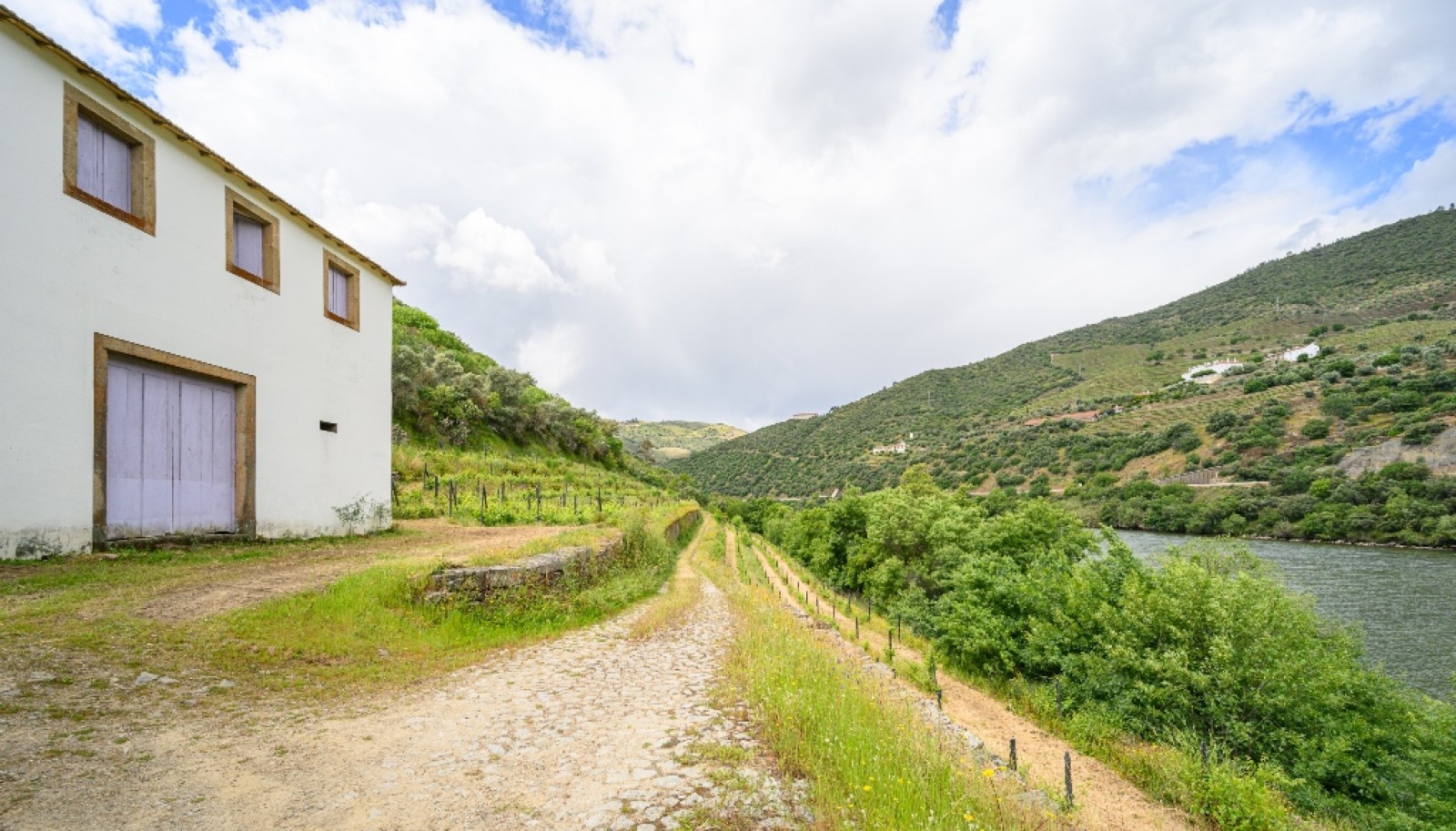 Domaine viticole à vendre dans Région Délimitée du Douro, Portugal_264314
