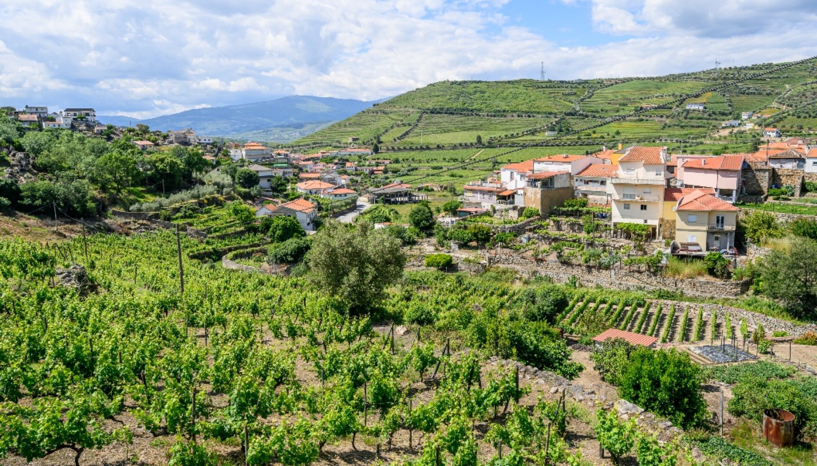 Quinta vinícola para venda no Alto Douro Vinhateiro, Douro Valley_267371