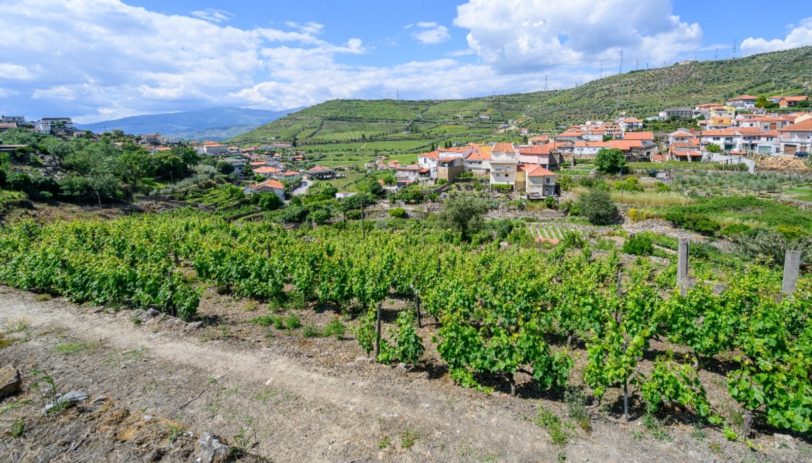Quinta vinícola para venda no Alto Douro Vinhateiro, Douro Valley_267375