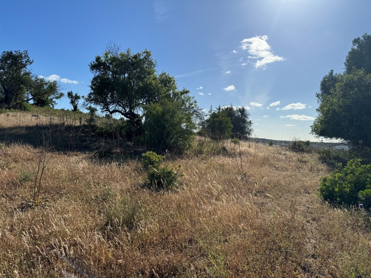 Large plot of land for sale in Algoz, Algarve_268599