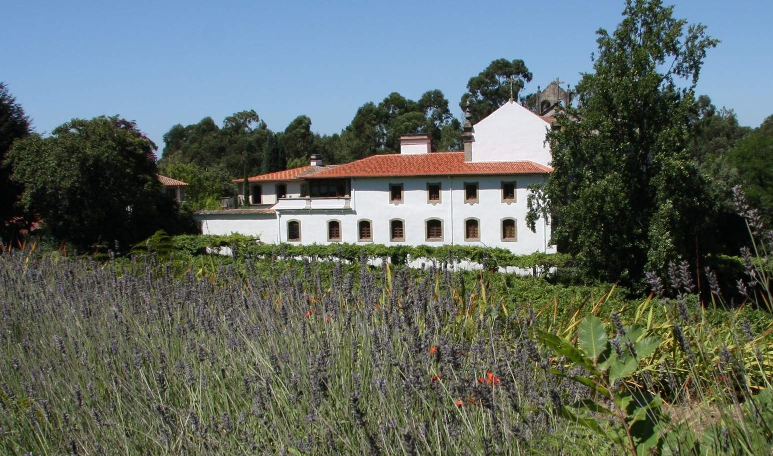 Stattliche ländlicher Tourismus Haus mit Garten und Schwimmbad, Barcelos, Portugal_28716