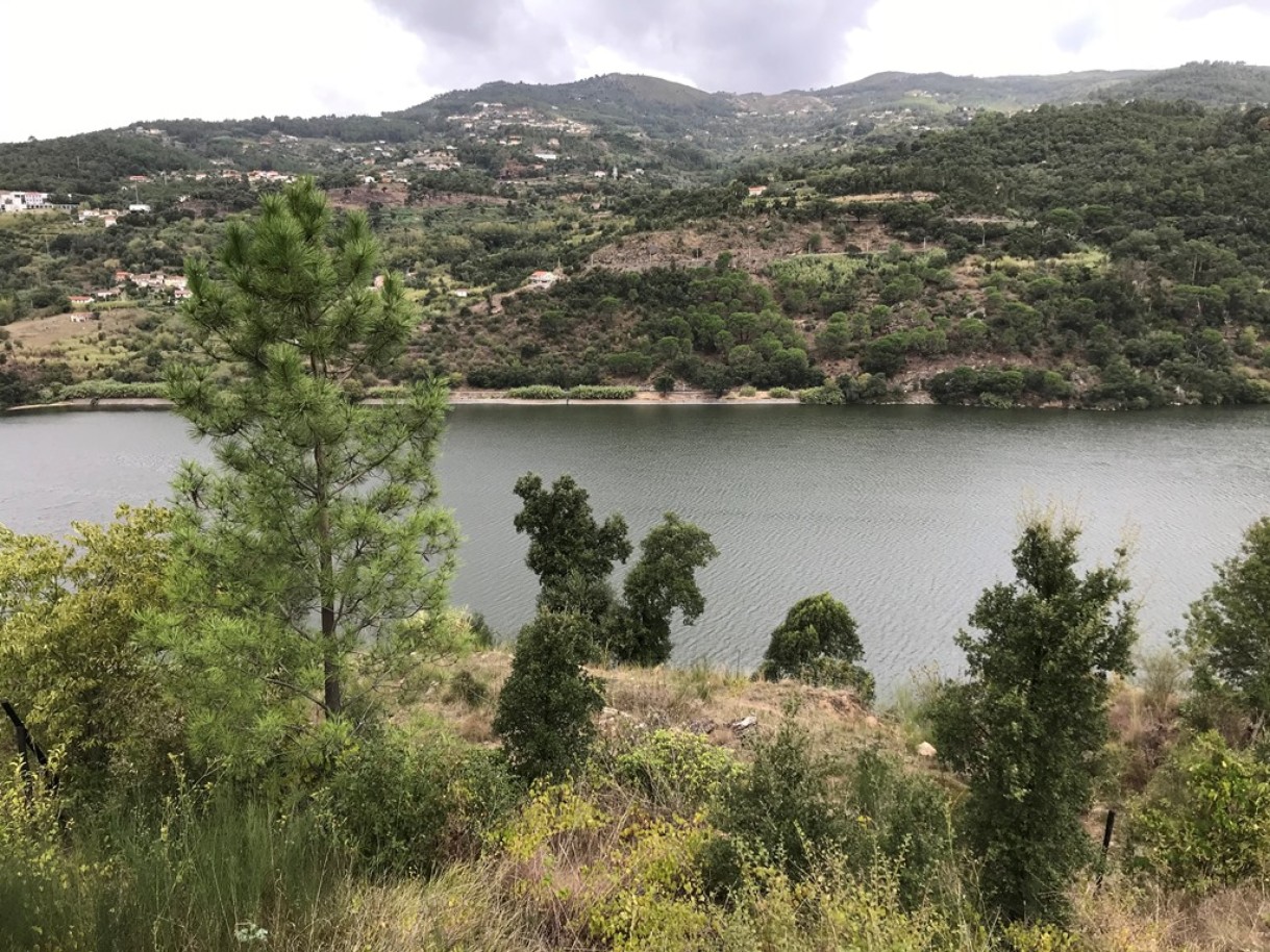 Land for sale in Resende, Portugal — €375,000