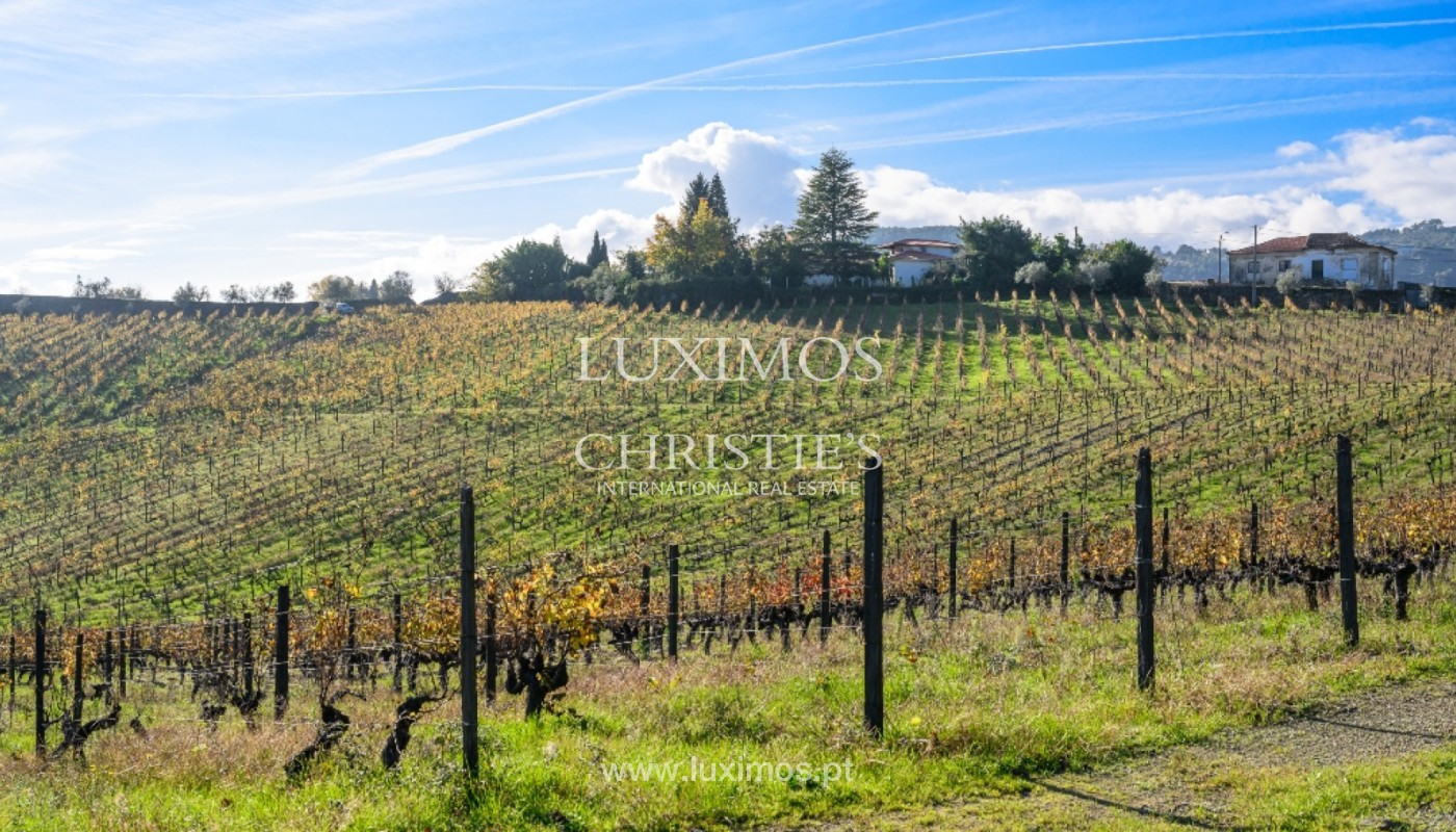 8 Bedroom Vineyard's Image 29