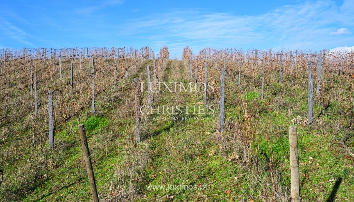 8 Bedroom Vineyard's Image 20