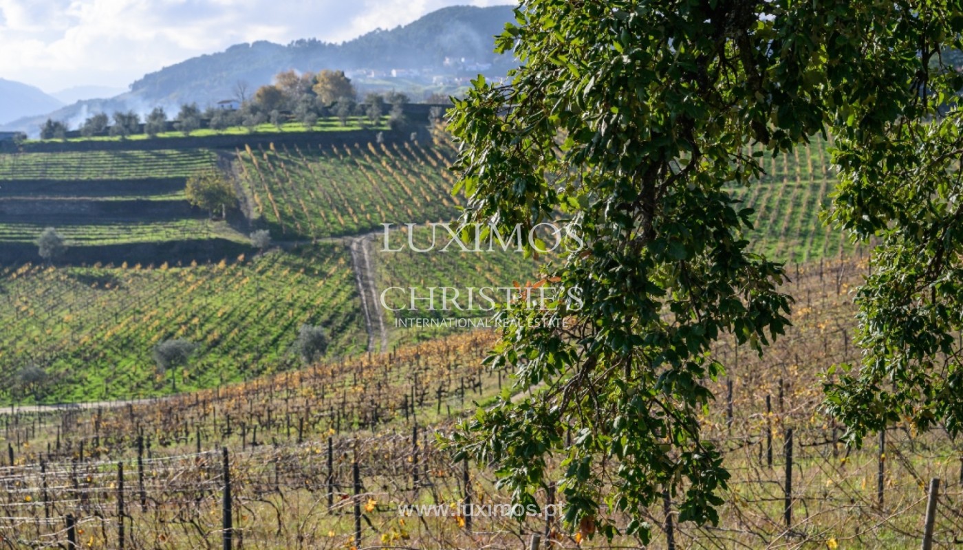 8 Bedroom Vineyard's Image 30