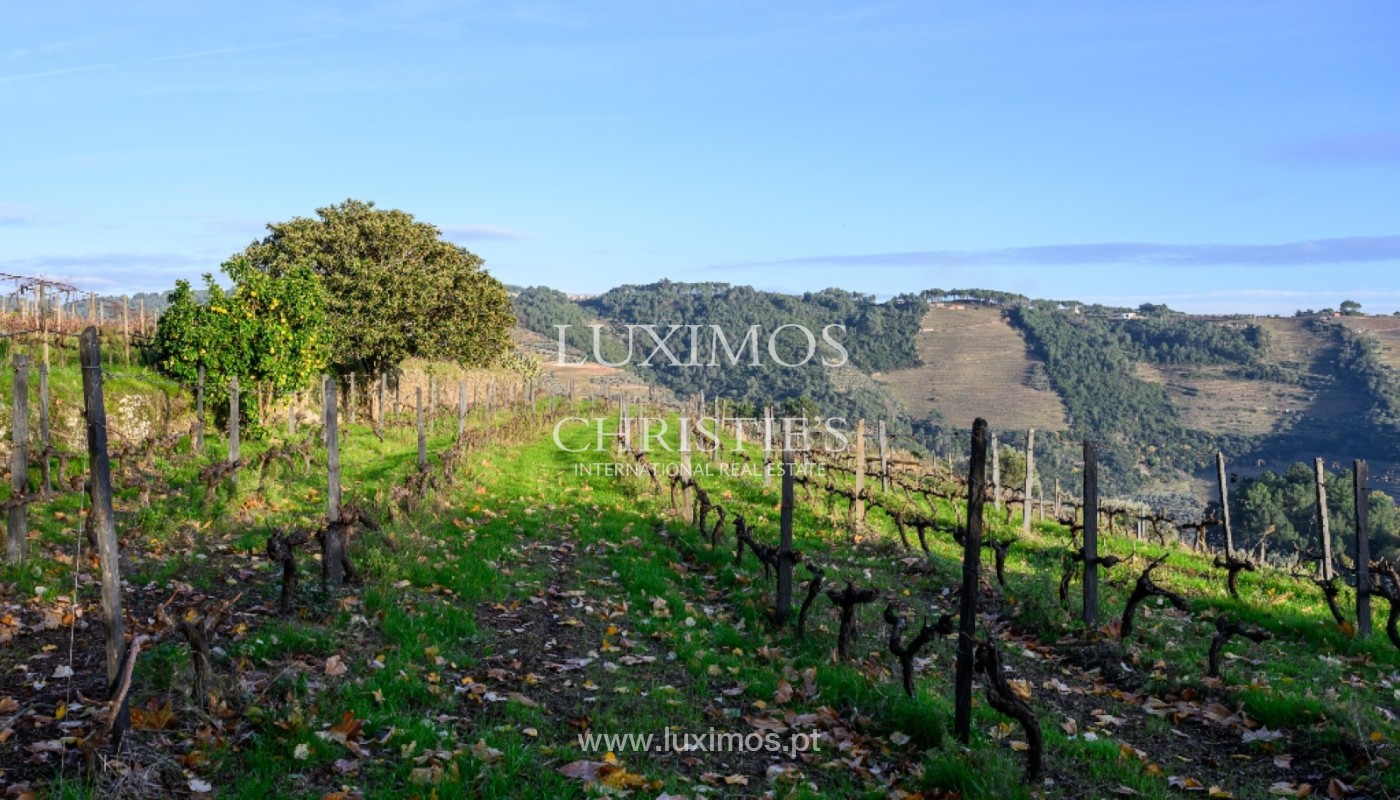 8 Bedroom Vineyard's Image 33