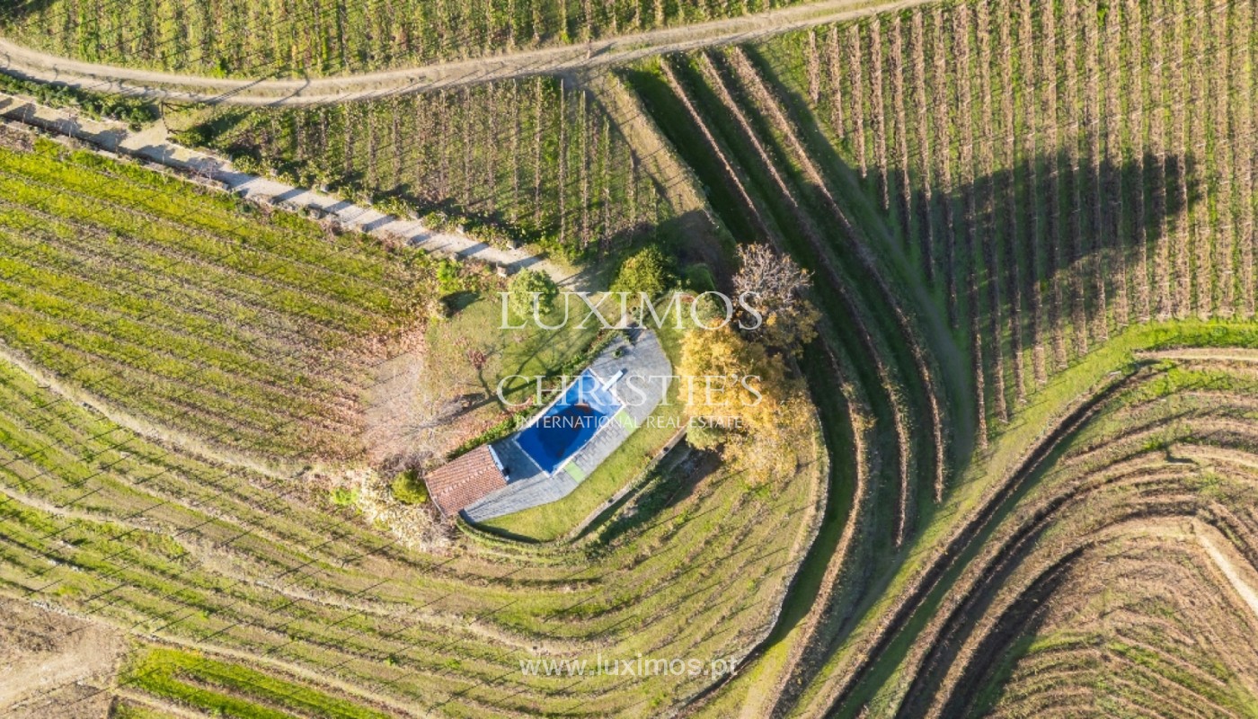 8 Bedroom Vineyard's Image 18