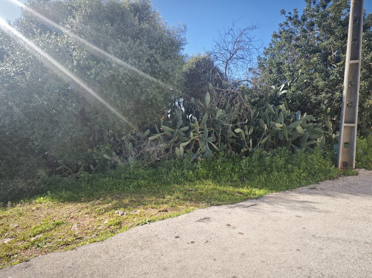 Terreno urbano com ruína, para venda em Alcantarilha, Algarve_313101