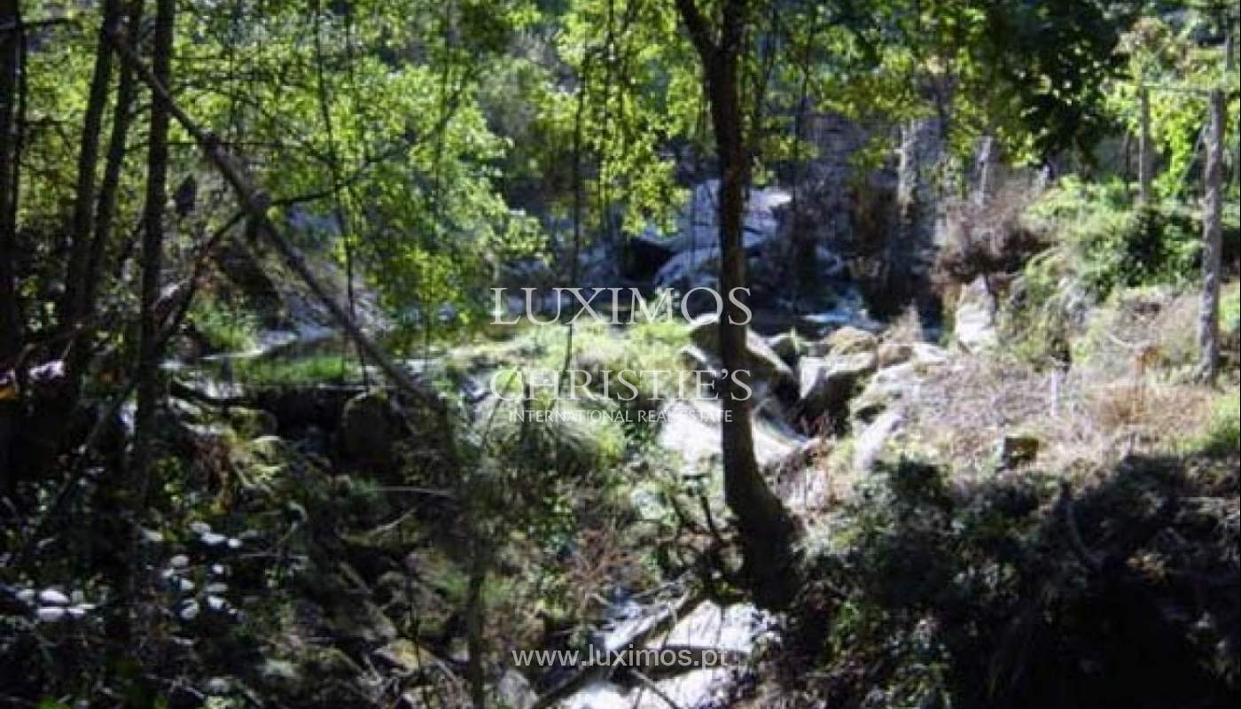 Maison avec potentiel pour l