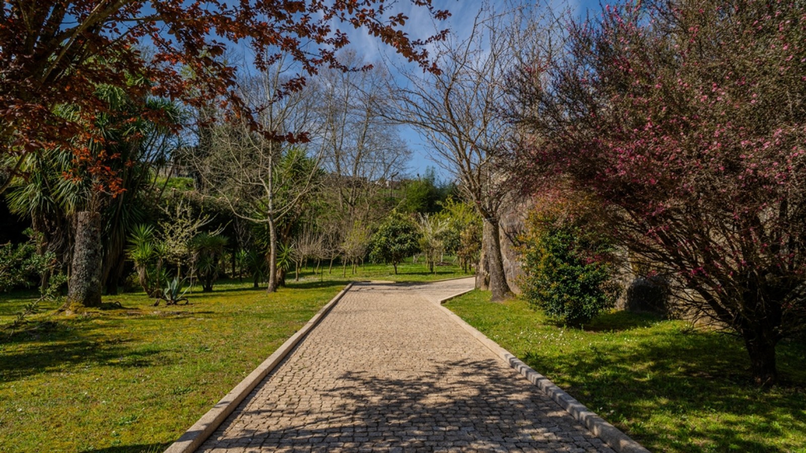 Moradia térrea V3 com piscina e jardim à venda em Lousada_317798