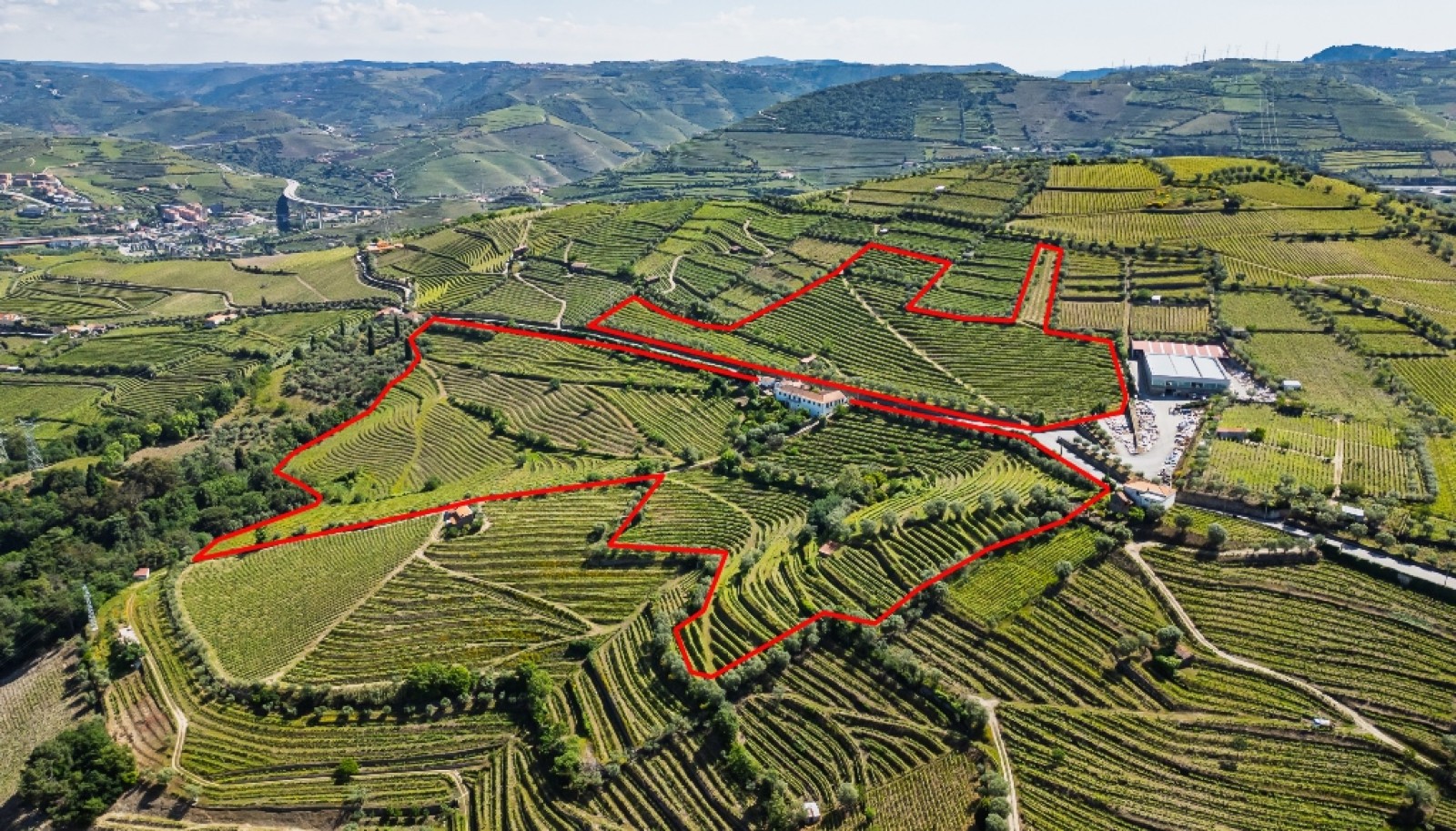 Wine Estate for sale in the Douro Valley in Cambres, Lamego, Portugal_323532