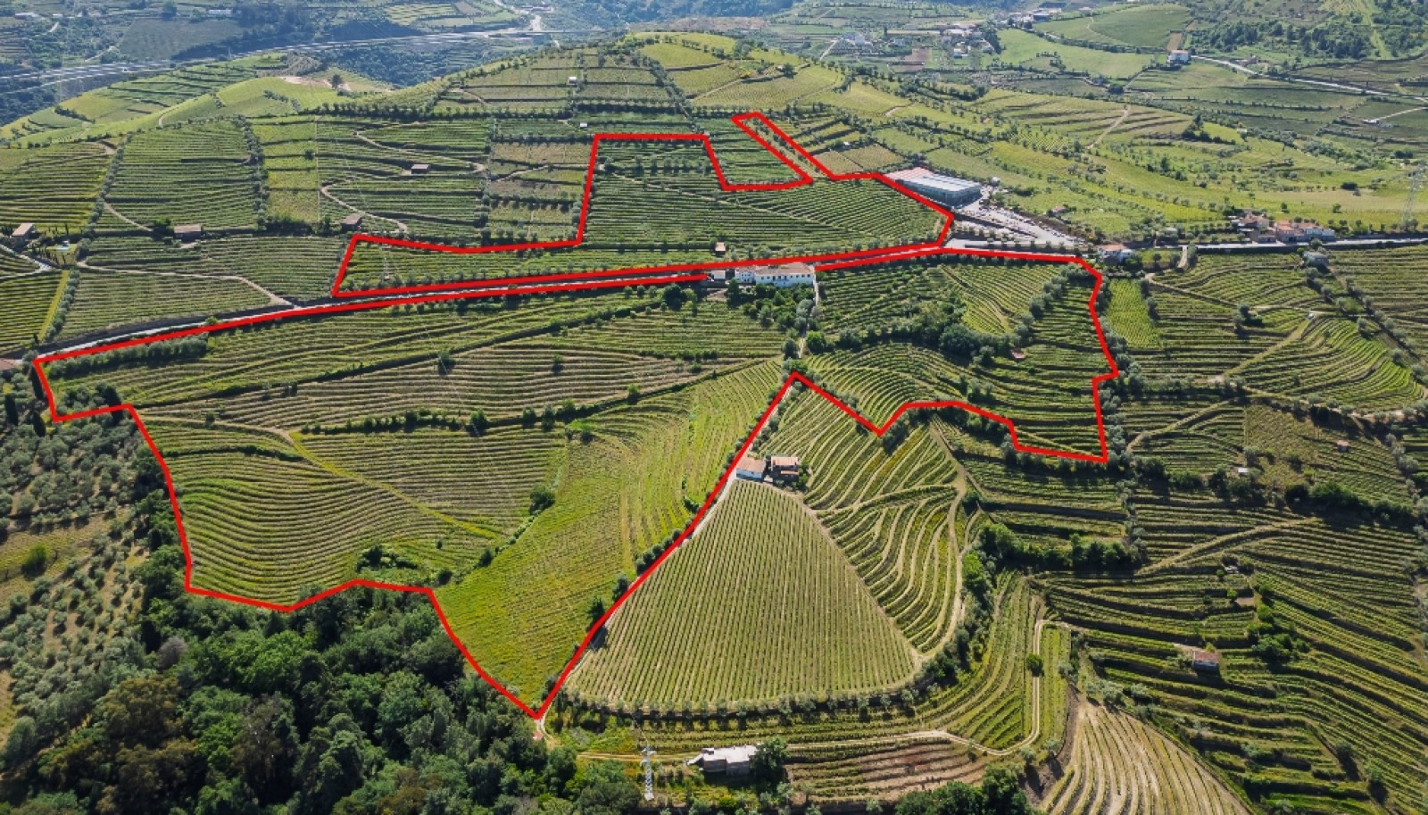 Wine Estate for sale in the Douro Valley in Cambres, Lamego, Portugal_323536