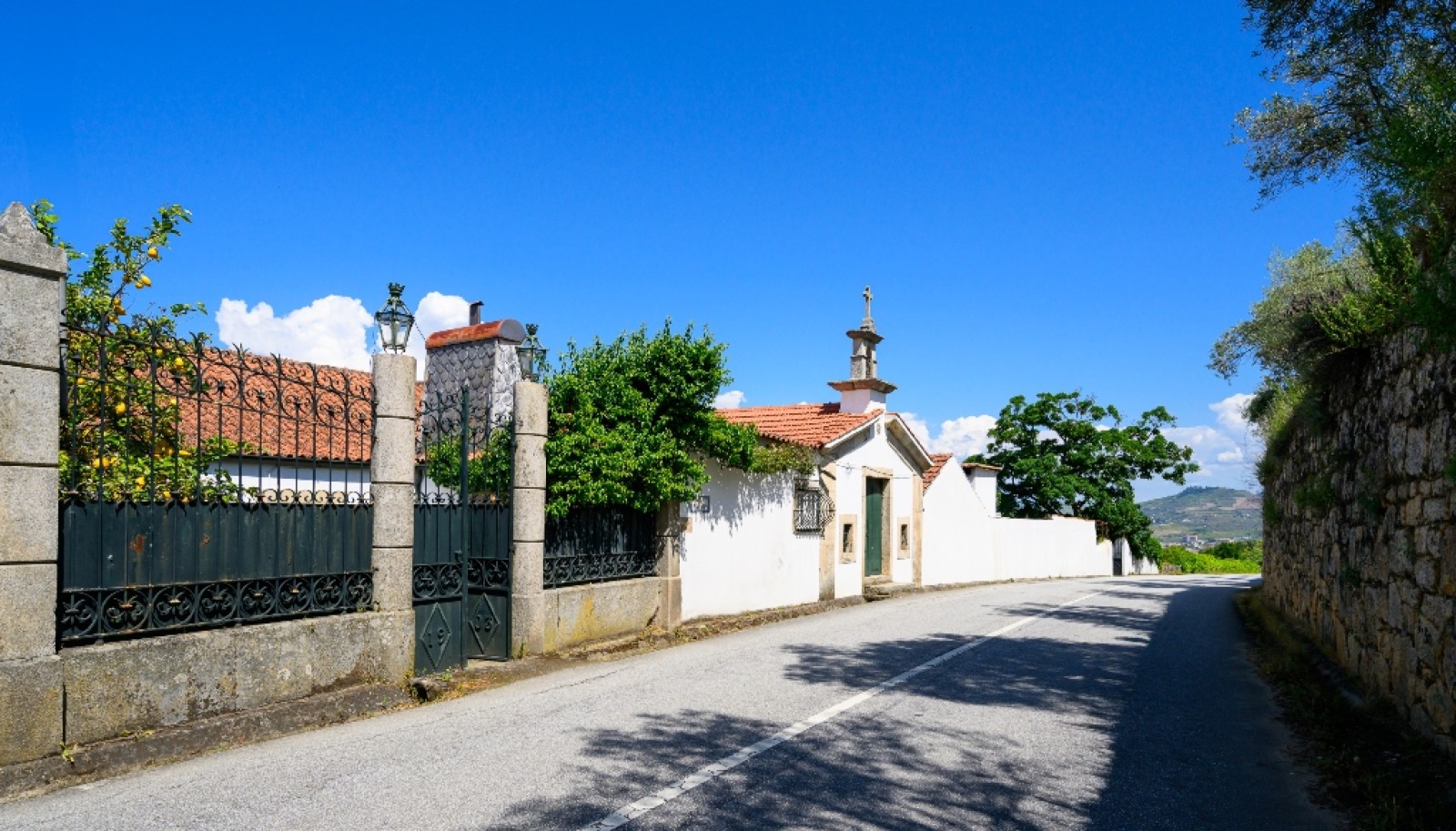 Wine Estate for sale in the Douro Valley in Cambres, Lamego, Portugal_323554