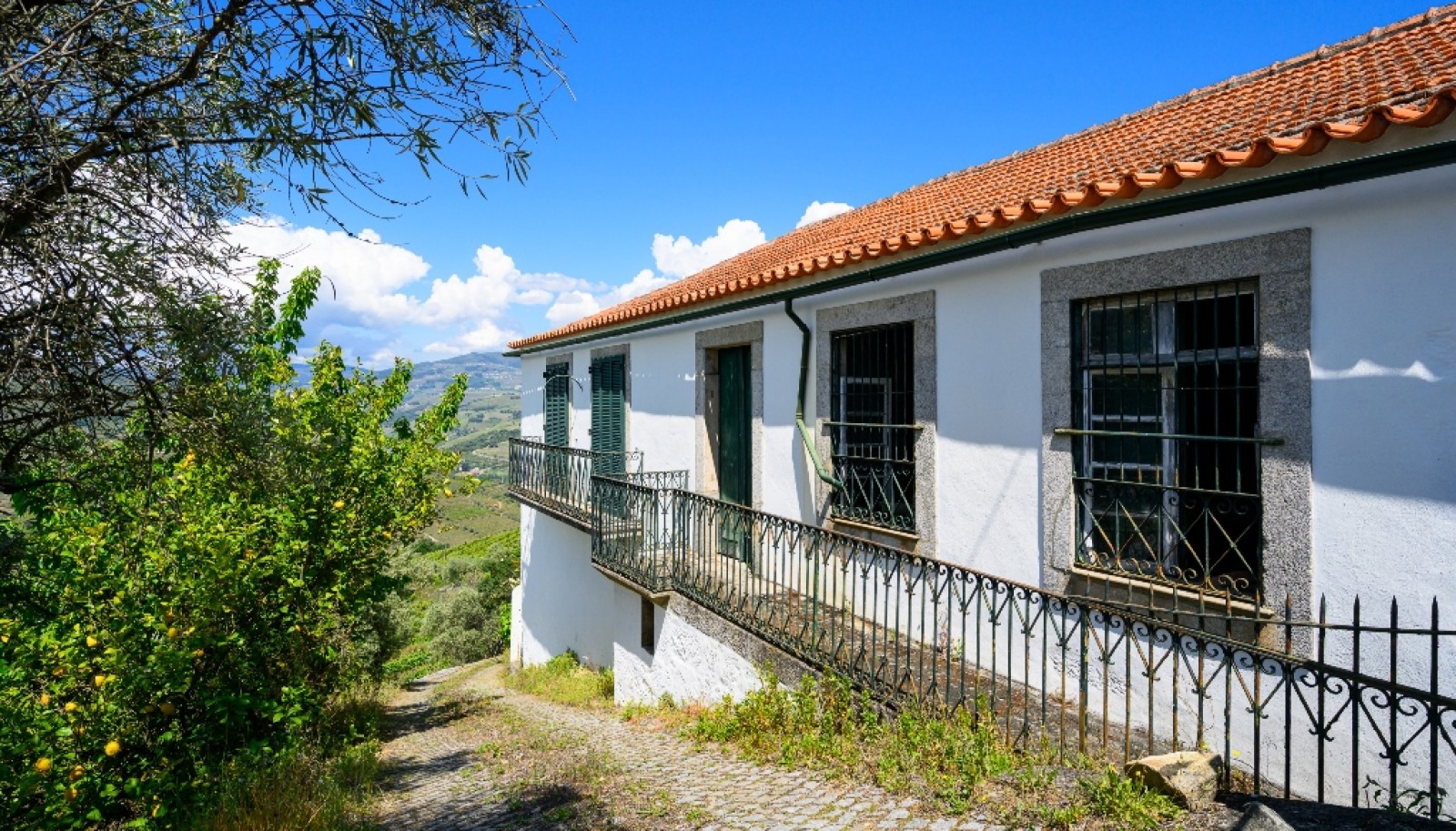 Wine Estate for sale in the Douro Valley in Cambres, Lamego, Portugal_323555