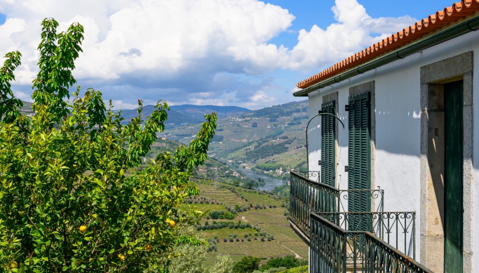 Wine Estate for sale in the Douro Valley in Cambres, Lamego, Portugal_323559