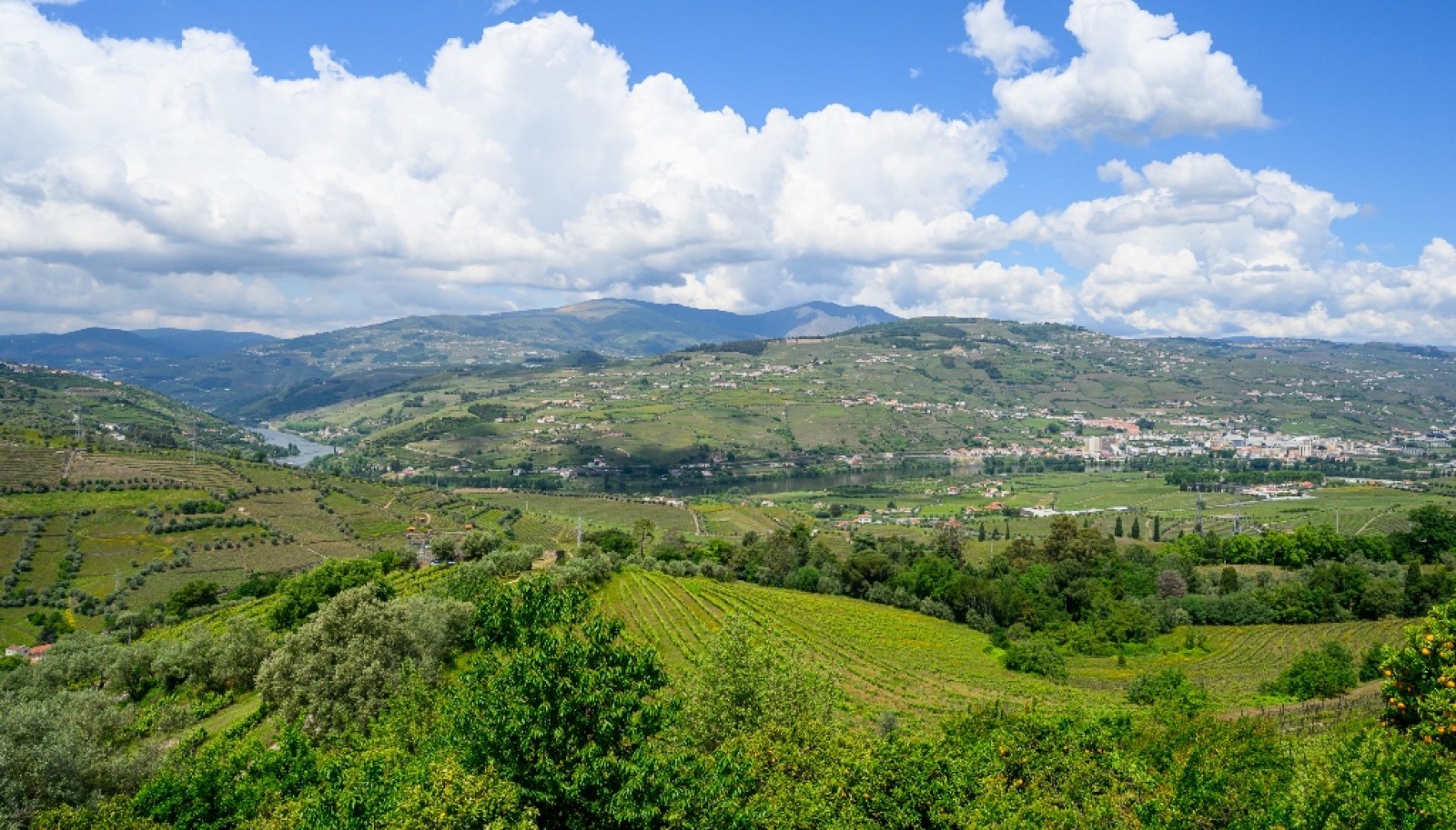 Wine Estate for sale in the Douro Valley in Cambres, Lamego, Portugal_323574