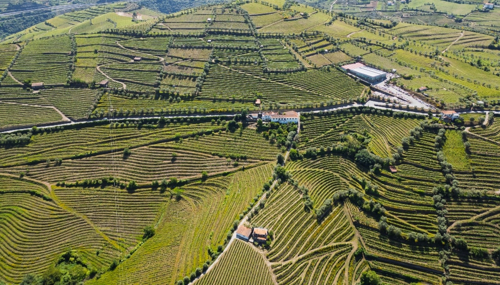 Wine Estate for sale in the Douro Valley in Cambres, Lamego, Portugal_323585