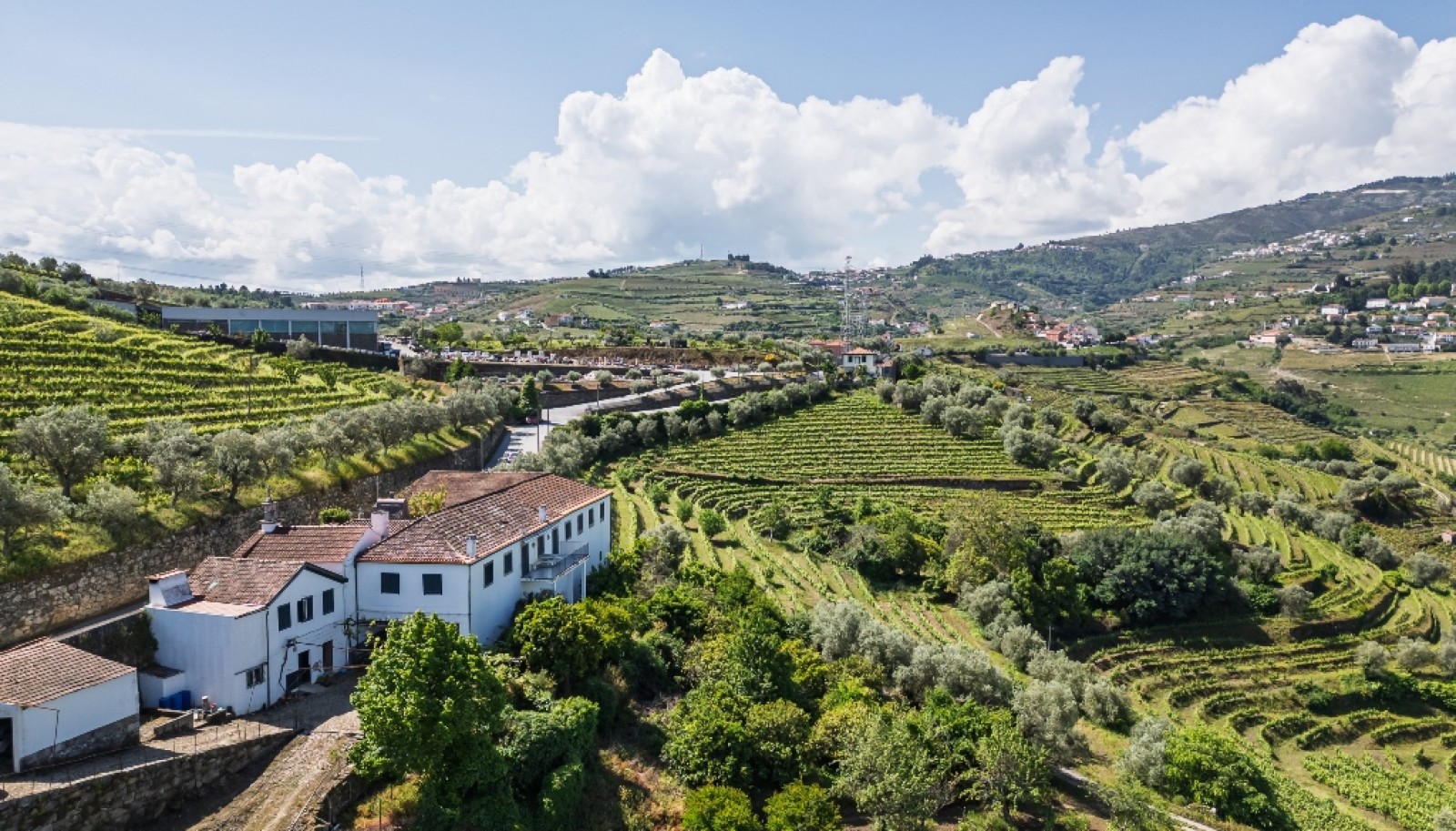 Wine Estate for sale in the Douro Valley in Cambres, Lamego, Portugal_323596