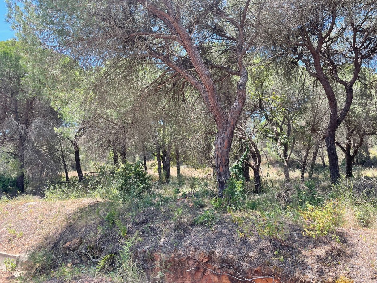 Terreno rústico para venda na Quinta do Lago, Algarve_324216