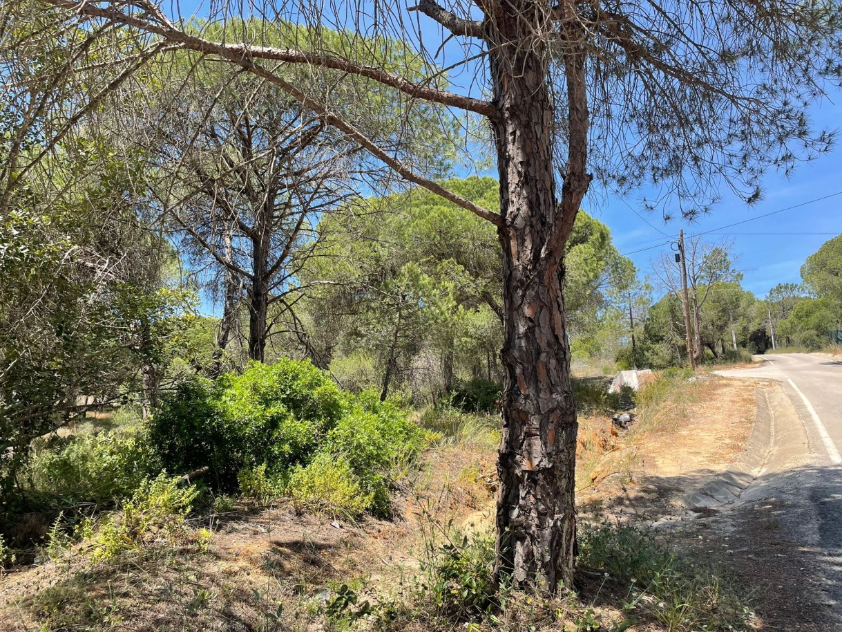 Terreno rústico para venda na Quinta do Lago, Algarve_324218