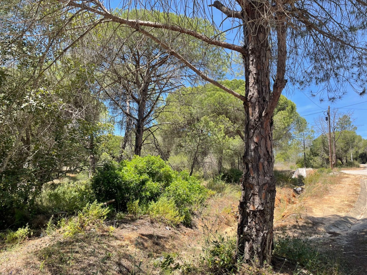 Terreno rústico para venda na Quinta do Lago, Algarve_324219