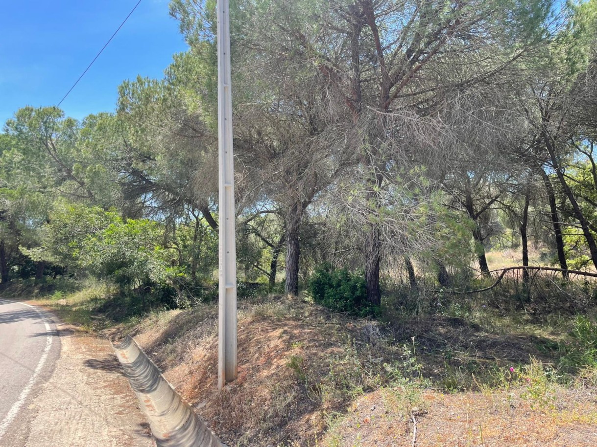 Terreno rústico para venda na Quinta do Lago, Algarve_324220