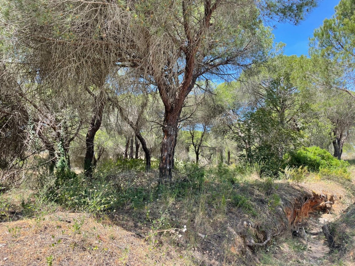Terreno rústico para venda na Quinta do Lago, Algarve_324221