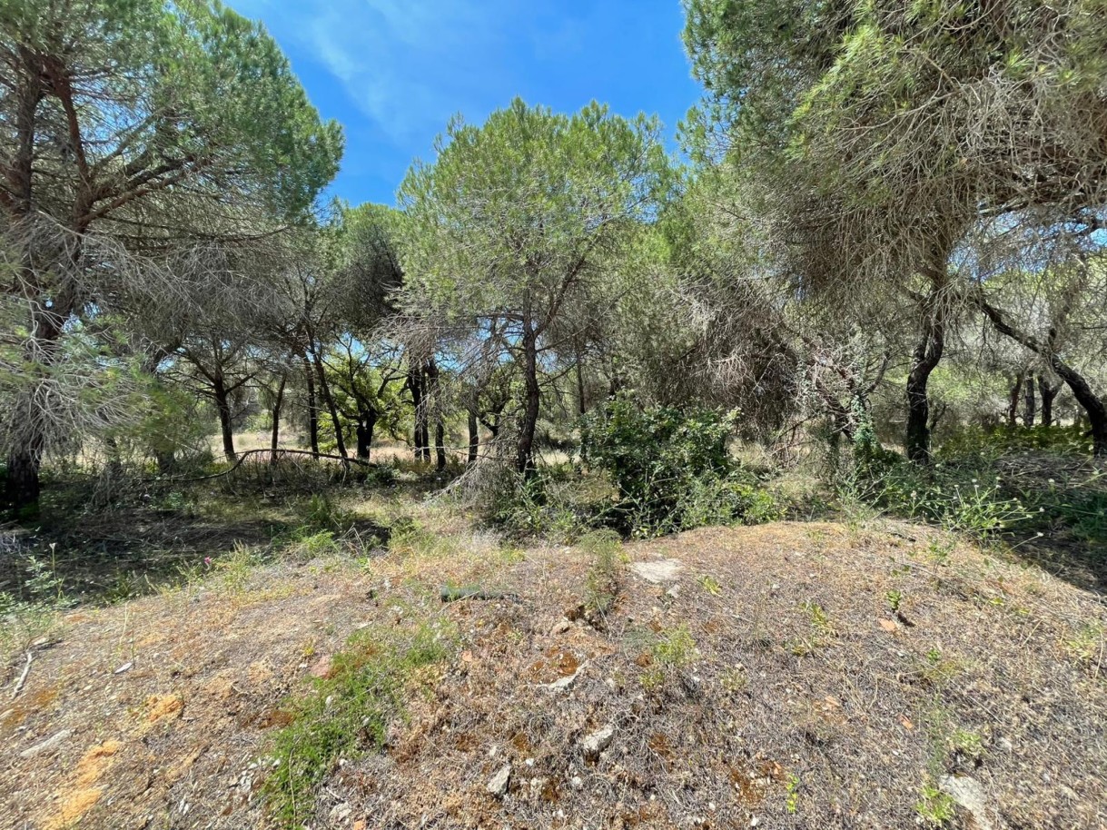 Terreno rústico para venda na Quinta do Lago, Algarve_324223