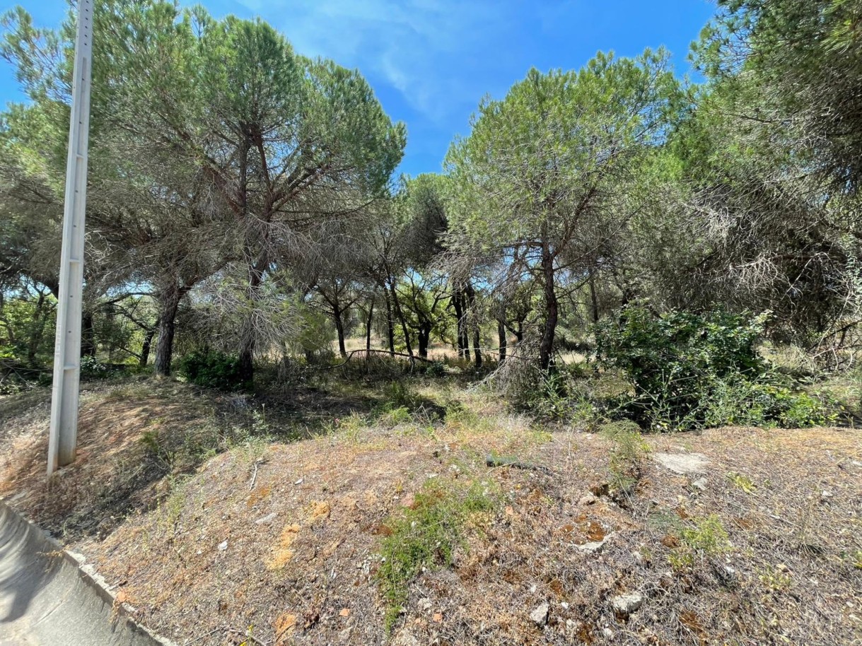 Terreno rústico para venda na Quinta do Lago, Algarve_324224