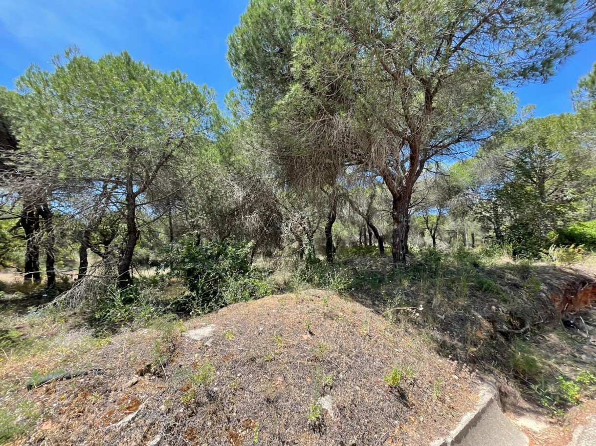 Terreno rústico para venda na Quinta do Lago, Algarve_324225