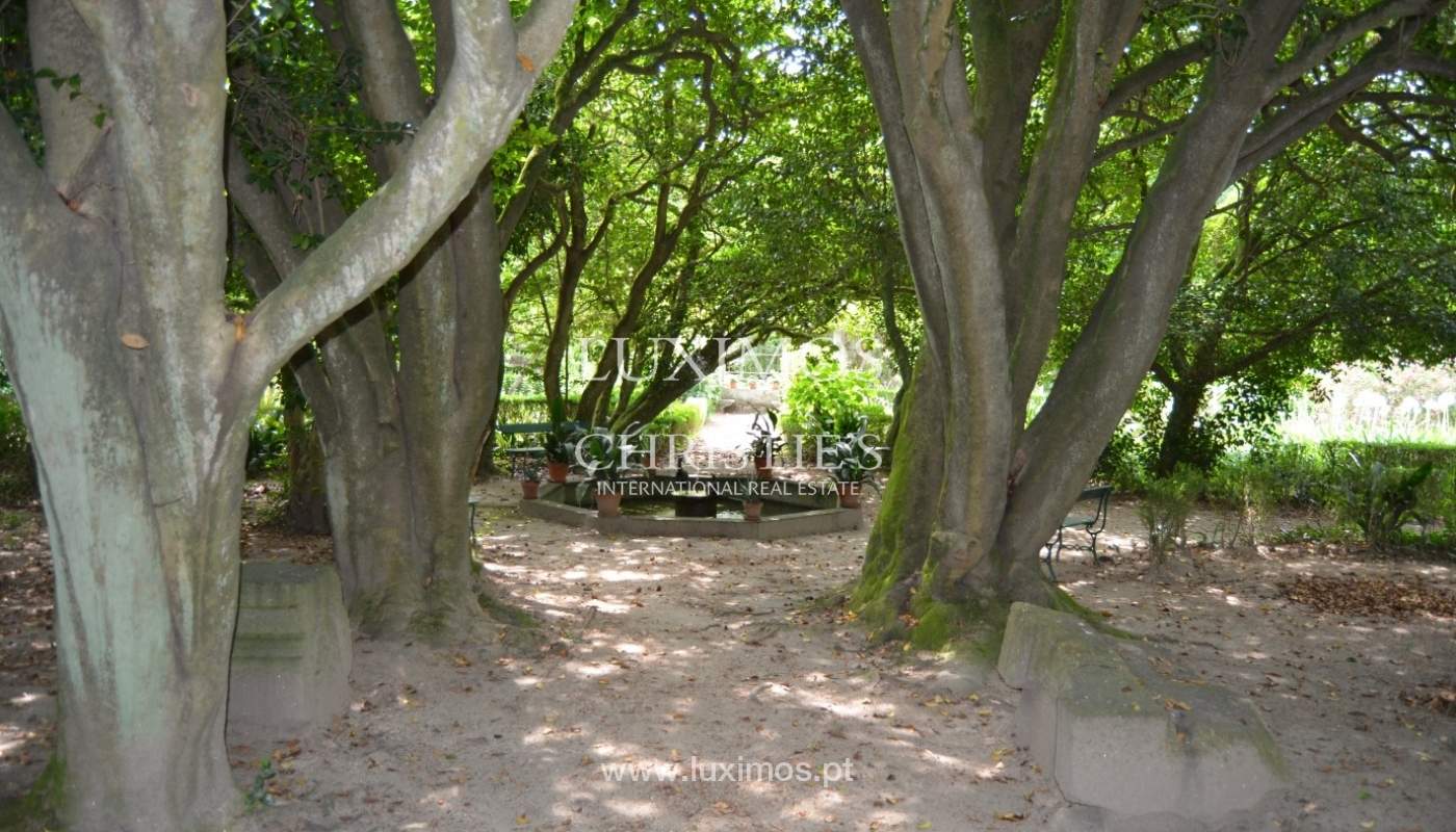 Country house with garden, lake and swimming pool, Penafiel, Portugal_33227