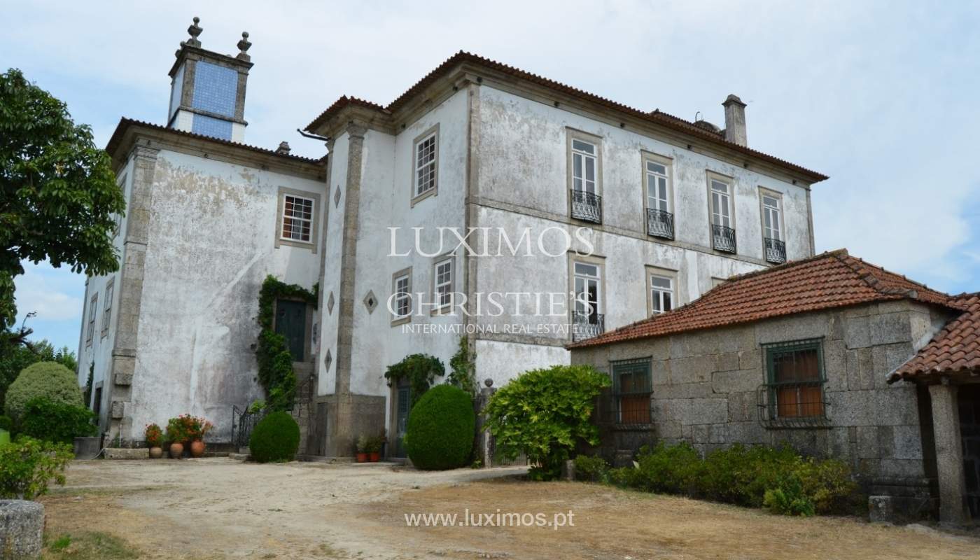Country house with garden, lake and swimming pool, Penafiel, Portugal_33253