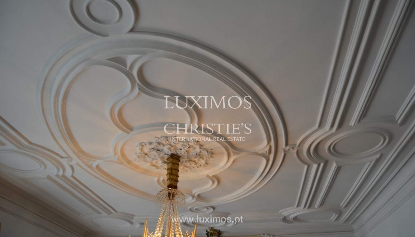 Country house with garden, lake and swimming pool, Penafiel, Portugal_33272