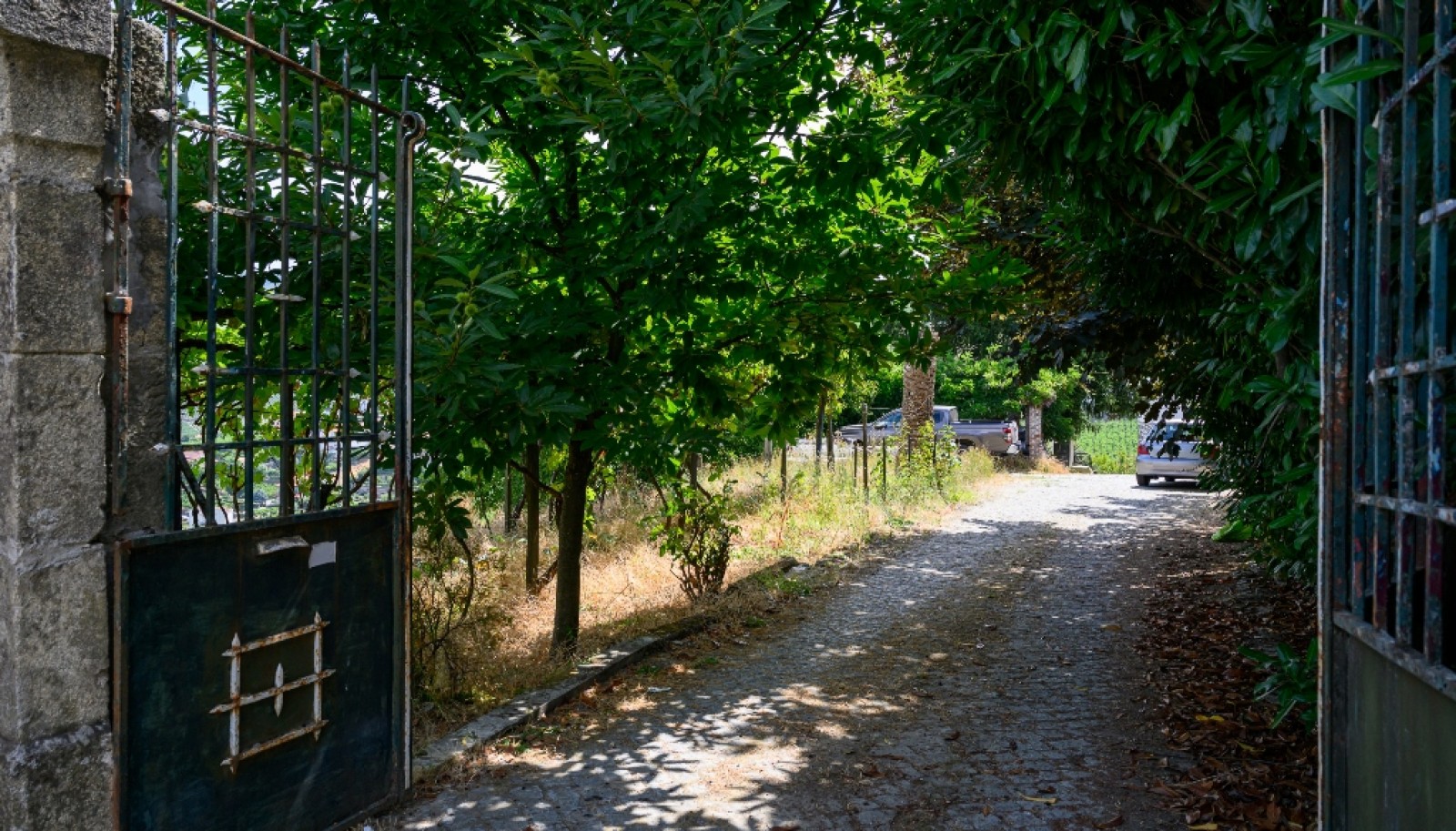 Quinta do Eidinho, a wine treasure in the heart of the Douro, Portugal_335579