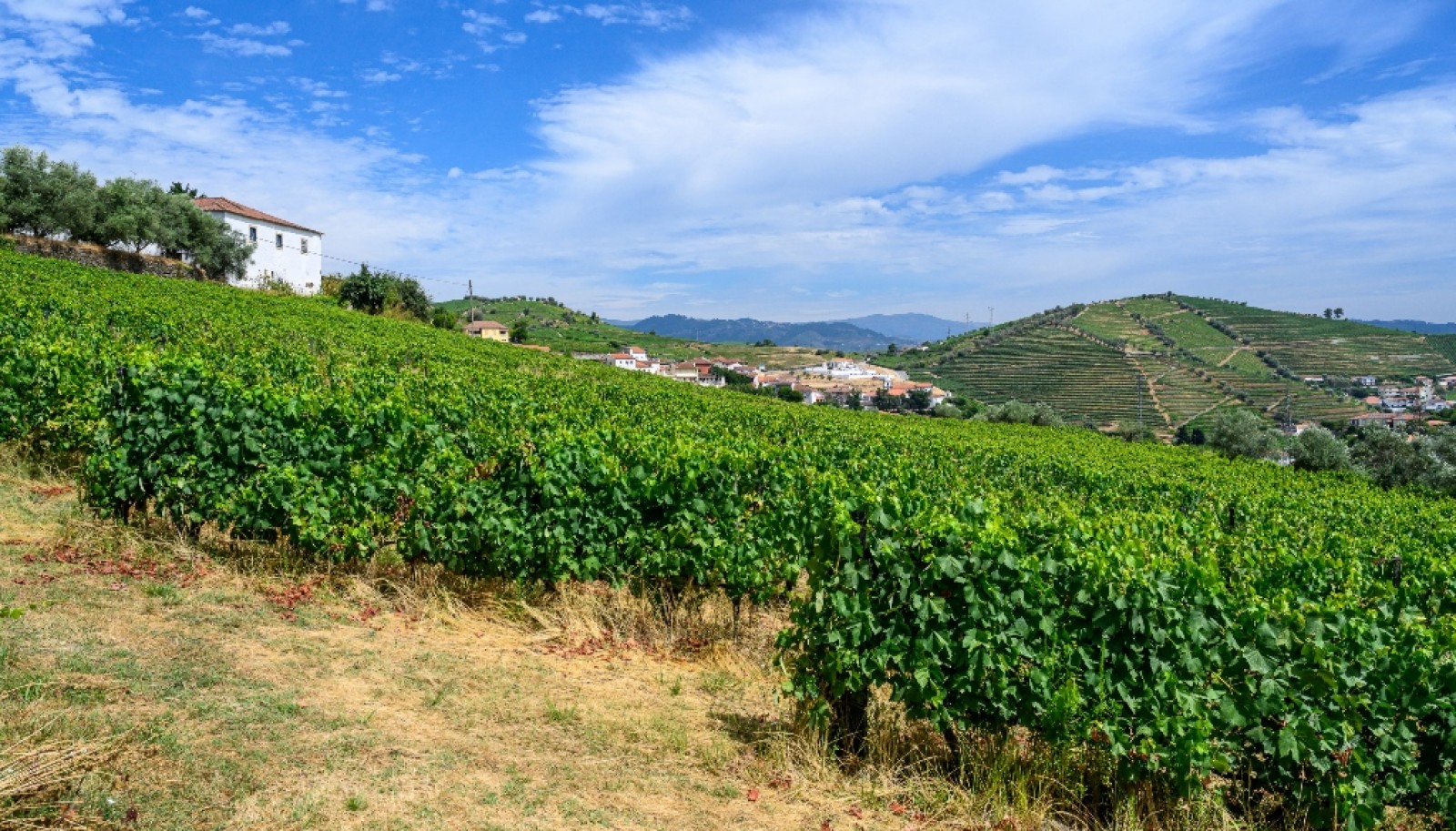Quinta do Eidinho à venda no Douro Valley em S. M. Penaguião, Portugal_335600