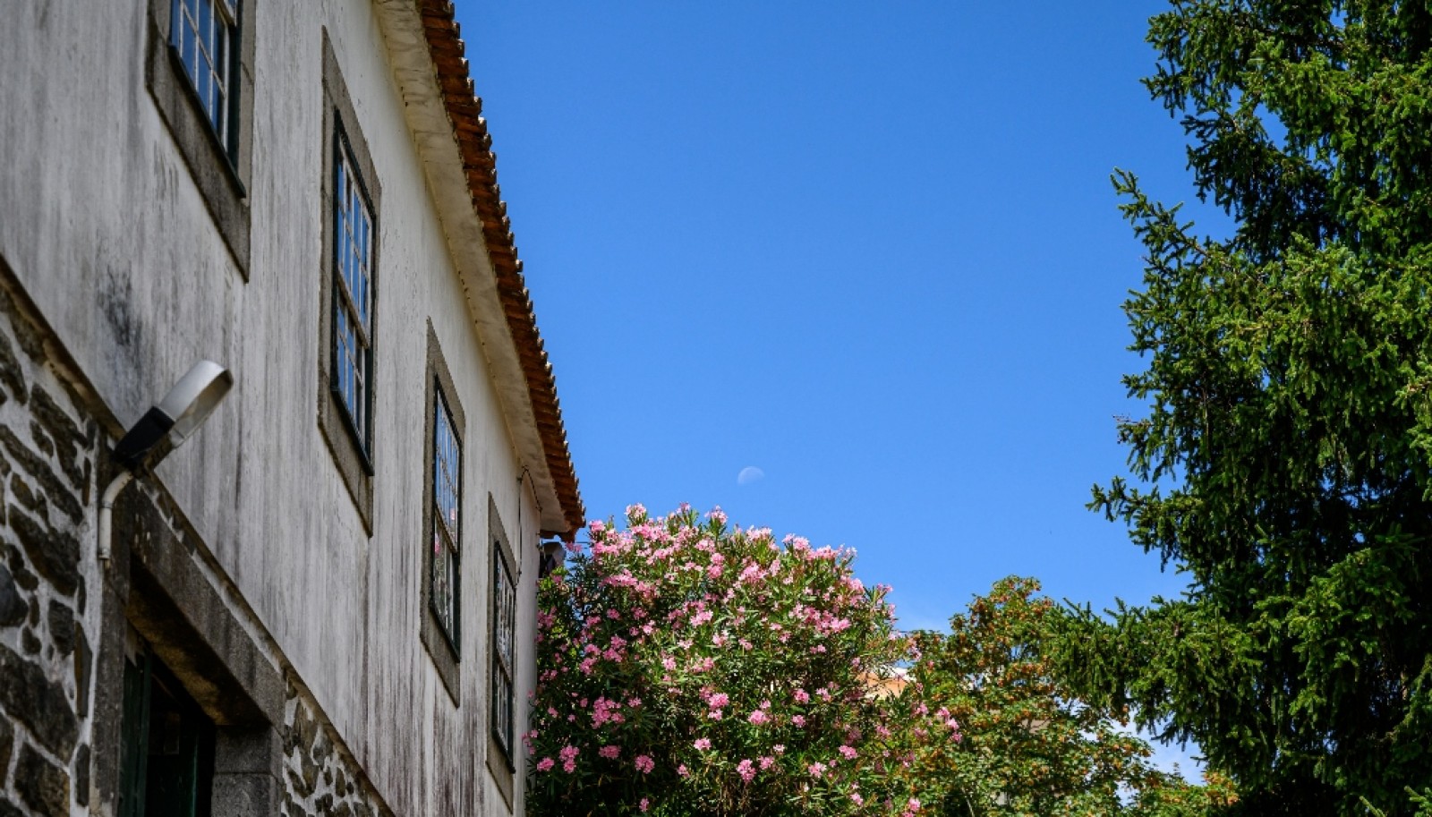 Quinta do Eidinho, a wine treasure in the heart of the Douro, Portugal_335603