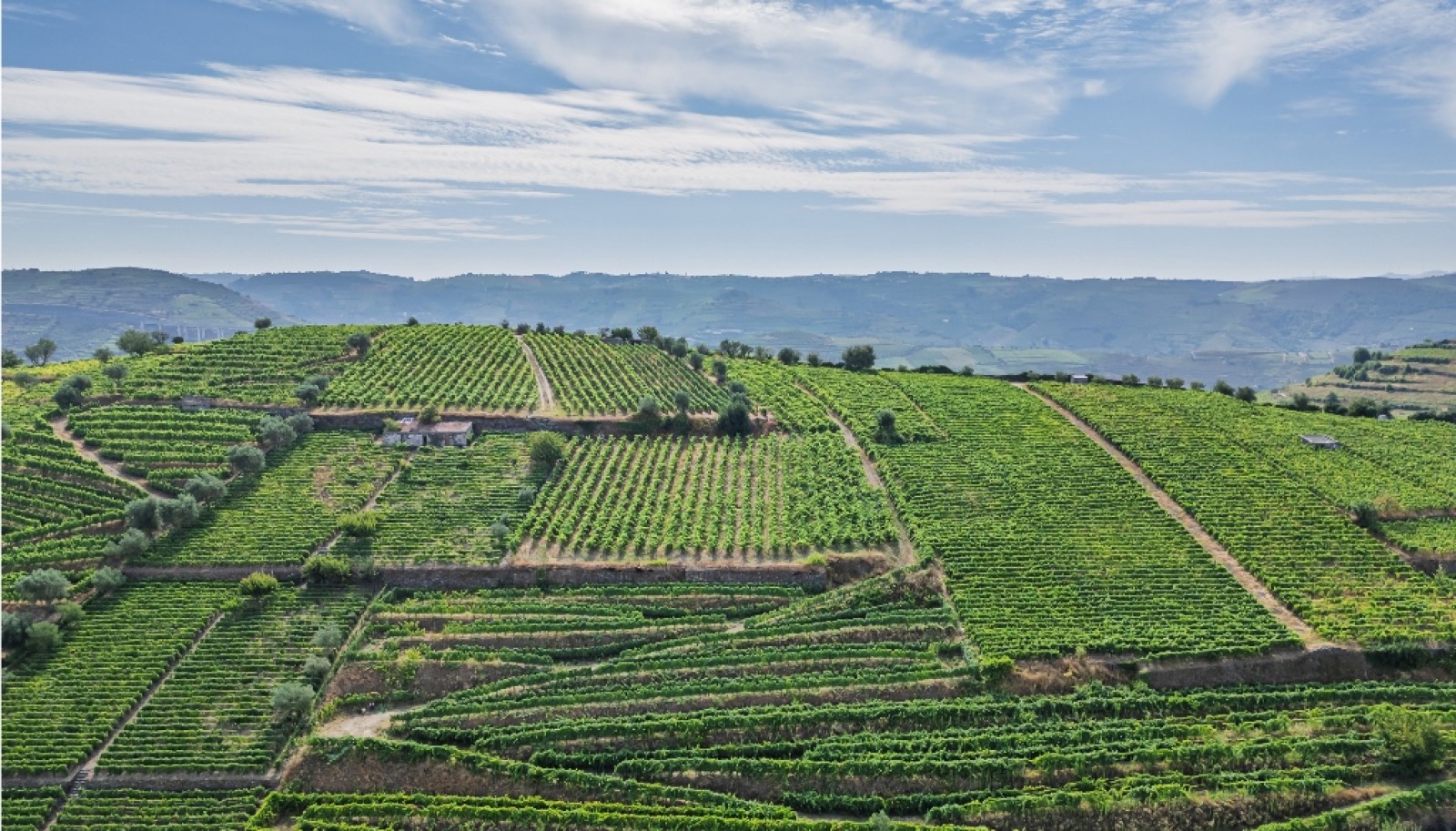 Quinta do Eidinho à venda no Douro Valley em S. M. Penaguião, Portugal_335621