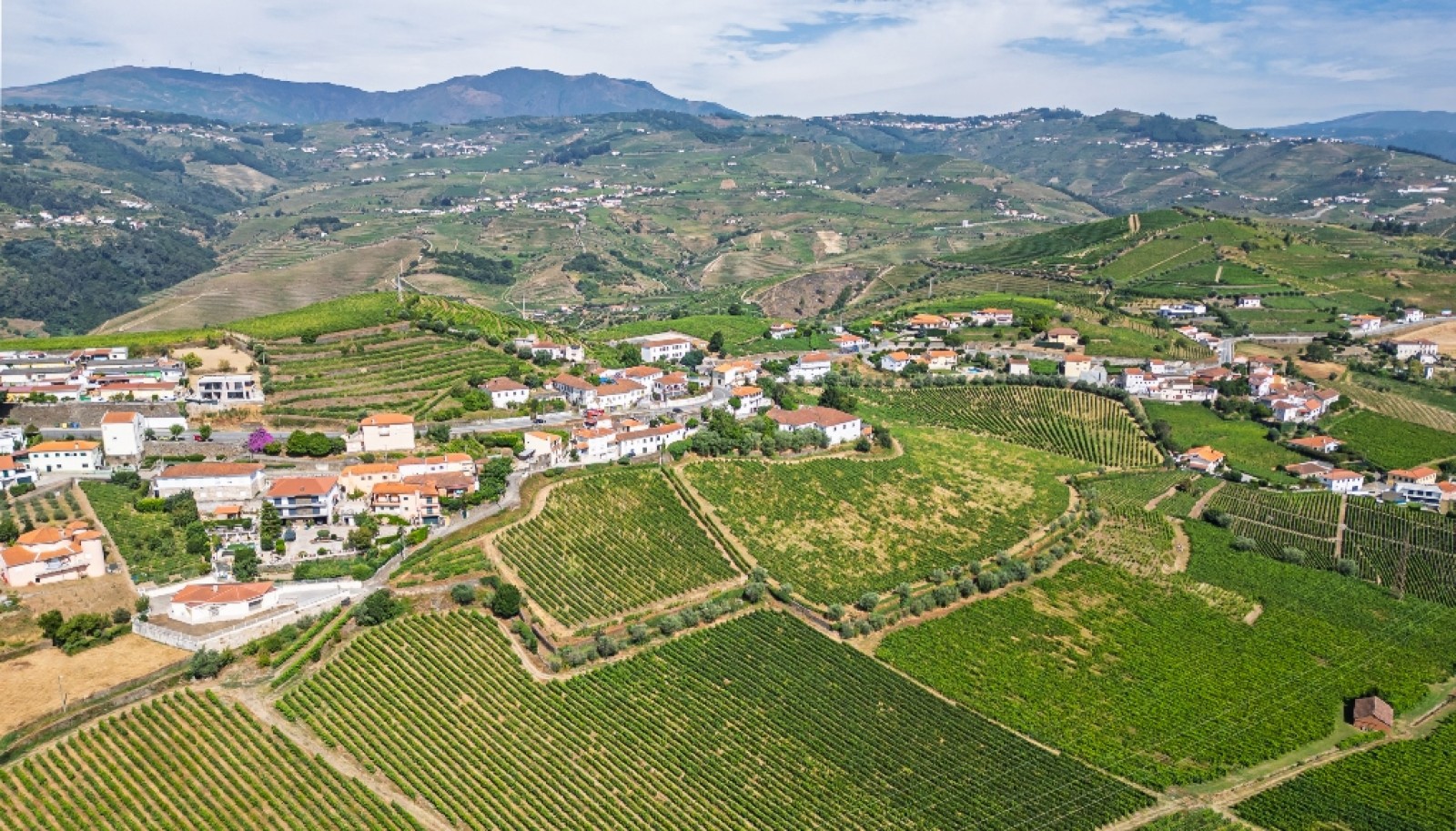 Quinta do Eidinho à venda no Douro Valley em S. M. Penaguião, Portugal_335626
