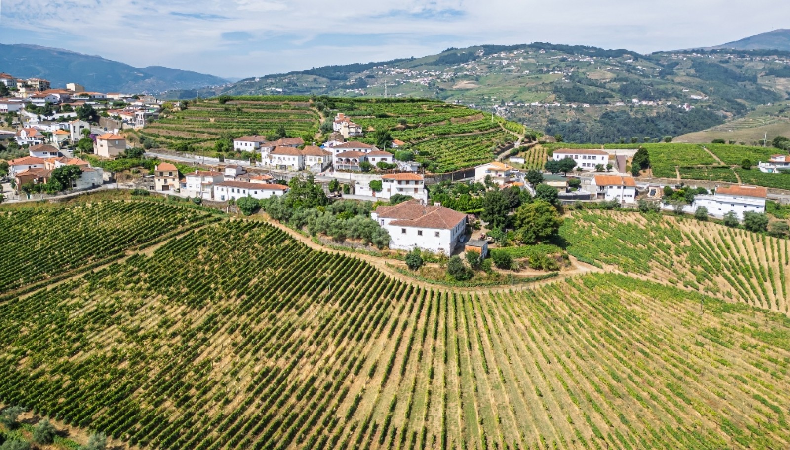 Quinta do Eidinho à venda no Douro Valley em S. M. Penaguião, Portugal_335629