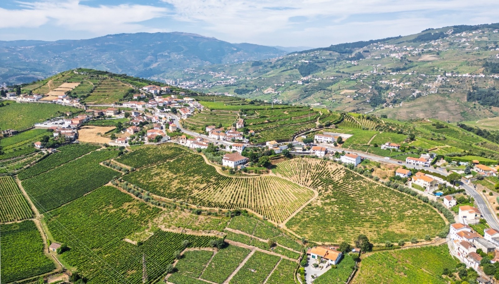 Quinta do Eidinho, a wine treasure in the heart of the Douro, Portugal_335630